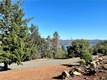 3517 FIRCREST COURT KELSEYVILLE, CA 95451