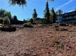 3517 FIRCREST COURT KELSEYVILLE, CA 95451