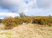 11158 ROCKY CREEK ROAD LOWER LAKE, CA 95457