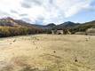 11158 ROCKY CREEK ROAD LOWER LAKE, CA 95457