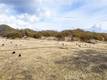 11158 ROCKY CREEK ROAD LOWER LAKE, CA 95457