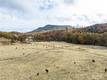 11158 ROCKY CREEK ROAD LOWER LAKE, CA 95457