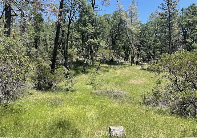 9660 HARRINGTON FLAT ROAD LOCH LOMOND, CA 95461
