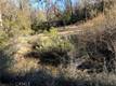 9660 HARRINGTON FLAT ROAD LOCH LOMOND, CA 95461