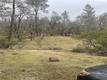 9660 HARRINGTON FLAT ROAD LOCH LOMOND, CA 95461