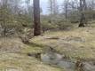 9660 HARRINGTON FLAT ROAD LOCH LOMOND, CA 95461