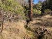 9660 HARRINGTON FLAT ROAD LOCH LOMOND, CA 95461