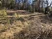 9660 HARRINGTON FLAT ROAD LOCH LOMOND, CA 95461