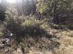9660 HARRINGTON FLAT ROAD LOCH LOMOND, CA 95461