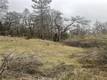 9660 HARRINGTON FLAT ROAD LOCH LOMOND, CA 95461