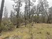 9660 HARRINGTON FLAT ROAD LOCH LOMOND, CA 95461