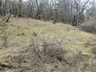 9660 HARRINGTON FLAT ROAD LOCH LOMOND, CA 95461