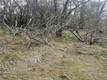 9660 HARRINGTON FLAT ROAD LOCH LOMOND, CA 95461