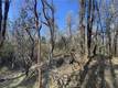 9660 HARRINGTON FLAT ROAD LOCH LOMOND, CA 95461