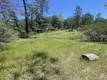 9660 HARRINGTON FLAT ROAD LOCH LOMOND, CA 95461