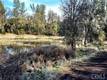 15151 GRAY PINE ROAD LOWER LAKE, CA 95457