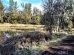 15151 GRAY PINE ROAD LOWER LAKE, CA 95457