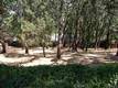 7891 SODA BAY ROAD KELSEYVILLE, CA 95451