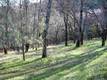 7891 SODA BAY ROAD KELSEYVILLE, CA 95451