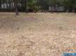 7911 SODA BAY ROAD KELSEYVILLE, CA 95451