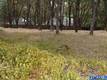 7911 SODA BAY ROAD KELSEYVILLE, CA 95451