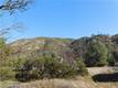 3660 SPRING VALLEY ROAD CLEARLAKE OAKS, CA 95423