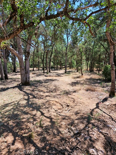 16288 12TH AVENUE CLEARLAKE, CA 95422