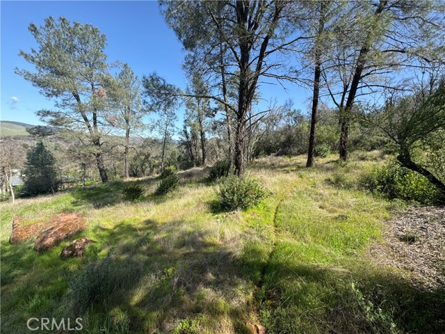 3522 FILMORE AVENUE CLEARLAKE, CA 95422