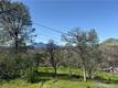 3522 FILMORE AVENUE CLEARLAKE, CA 95422