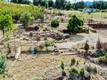 21541 YANKEE VALLEY ROAD HIDDEN VALLEY LAKE, CA 95467