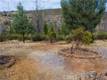 21541 YANKEE VALLEY ROAD HIDDEN VALLEY LAKE, CA 95467