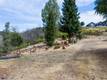 21541 YANKEE VALLEY ROAD HIDDEN VALLEY LAKE, CA 95467