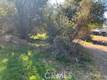 14212 WOODLAND DRIVE CLEARLAKE, CA 95422