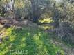 14212 WOODLAND DRIVE CLEARLAKE, CA 95422