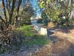 3281 PARK STREET CLEARLAKE, CA 95422