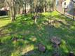 15702 21ST AVENUE CLEARLAKE, CA 95422