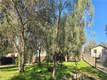 15702 21ST AVENUE CLEARLAKE, CA 95422