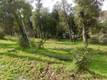 5560 HALE AVENUE CLEARLAKE, CA 95422