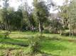 5560 HALE AVENUE CLEARLAKE, CA 95422