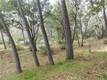 5834 SPRUCE AVENUE CLEARLAKE, CA 95422