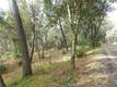 5834 SPRUCE AVENUE CLEARLAKE, CA 95422
