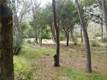5834 SPRUCE AVENUE CLEARLAKE, CA 95422