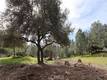4641 HAWAINA WAY KELSEYVILLE, CA 95451