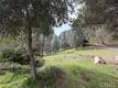 4641 HAWAINA WAY KELSEYVILLE, CA 95451
