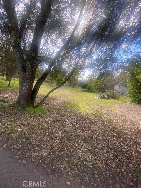 7005 MARIN STREET NICE, CA 95464