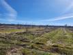 1665 BIG VALLEY ROAD LAKEPORT, CA 95453