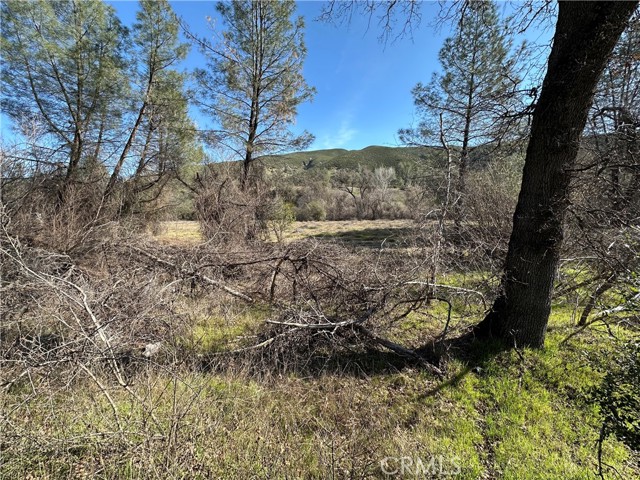 1395 NEW LONG VALLEY ROAD CLEARLAKE OAKS, CA 95423