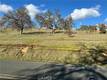 2109 INDIAN HILL ROAD CLEARLAKE OAKS, CA 95423