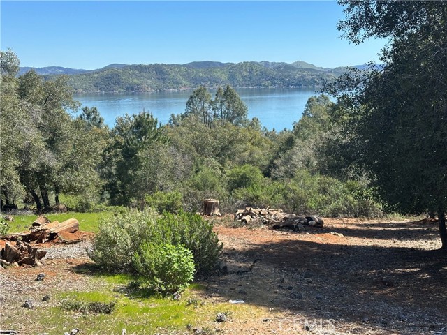3648 SHORELINE VIEW WAY KELSEYVILLE, CA 95451