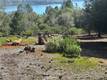 3648 SHORELINE VIEW WAY KELSEYVILLE, CA 95451